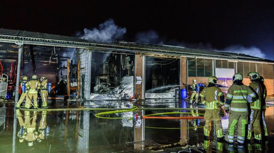 Grote schuurbrand in Zegveld, jongvee op tijd naar buiten