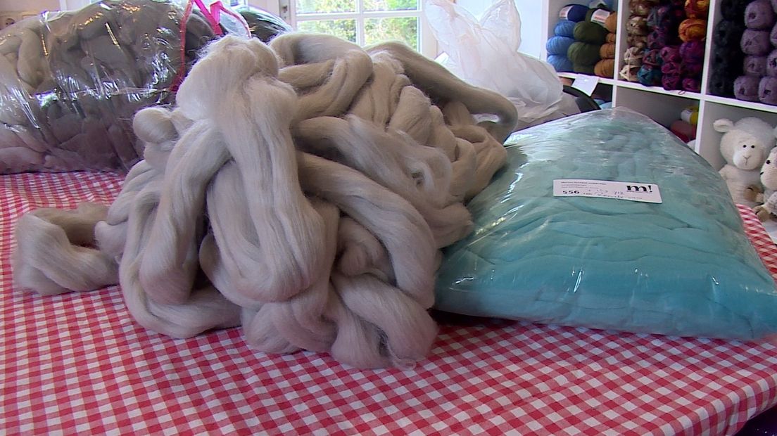 Dikke wol van het Merino-schaap