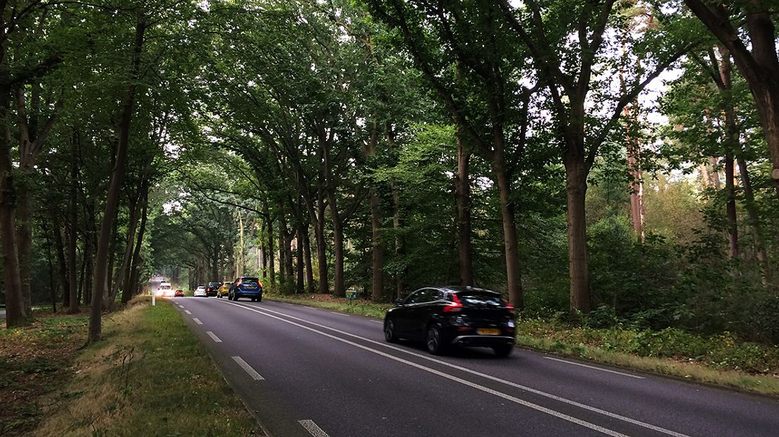 De N227 tussen Doorn en Maarn.