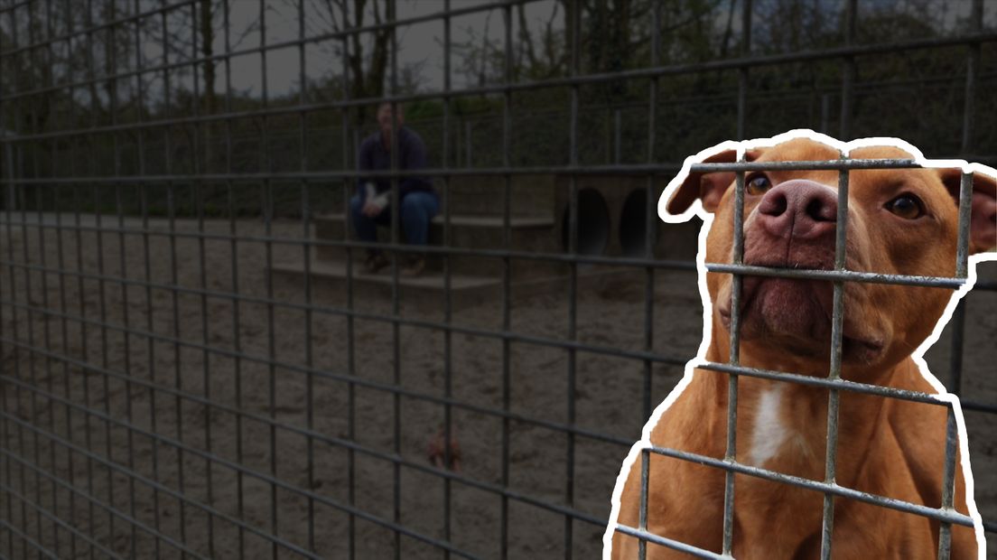 bew thumb haags dierencentrum