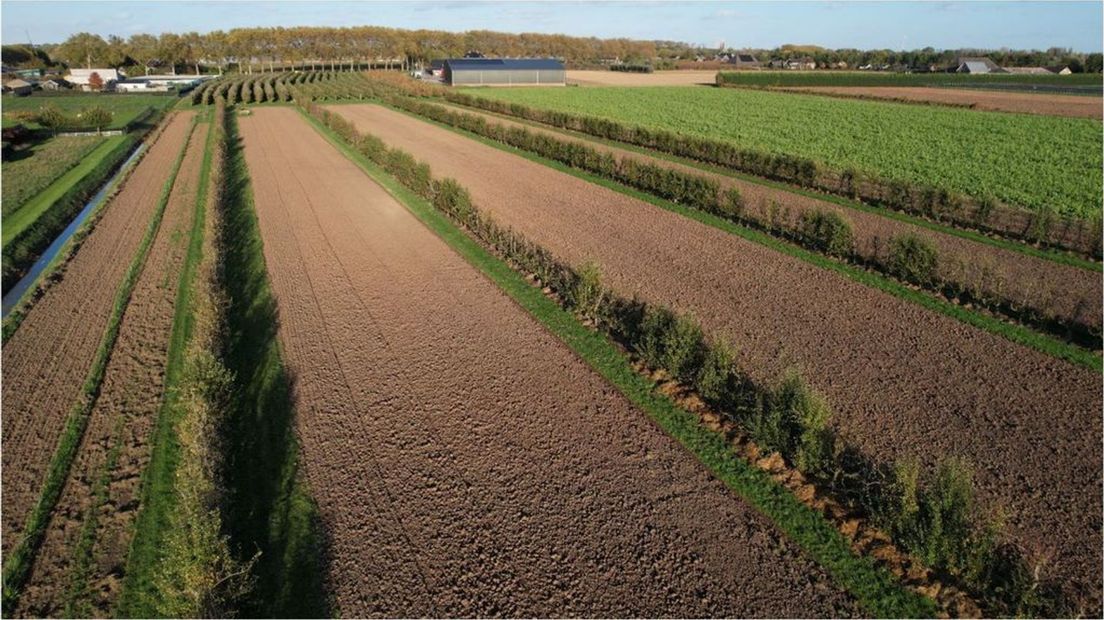 Winssen van boven