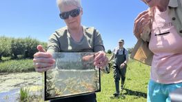 Vrijwilligers laten zien wat zij bijdragen aan de Gelderse natuur