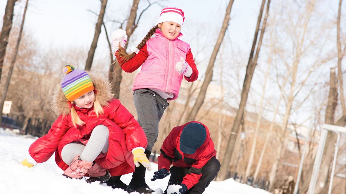 Kinderen houden een sneeuwballengevecht.