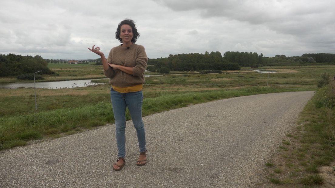 Trots op Zeeland