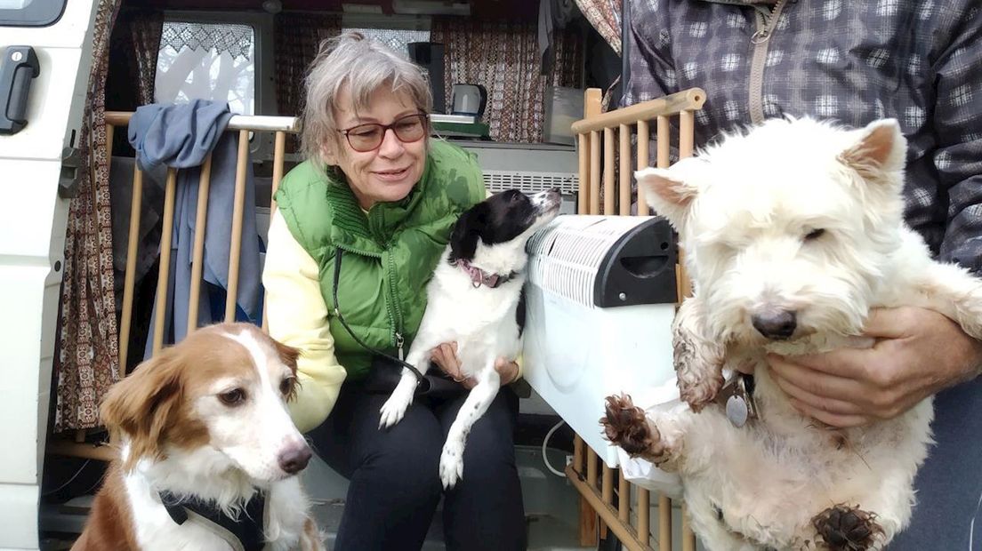 Lenie Beverloo uit Rotterdam heeft drie honden