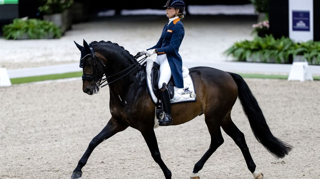 paardensport dressuur Dinja van Liere Hermes Indoor Brabant