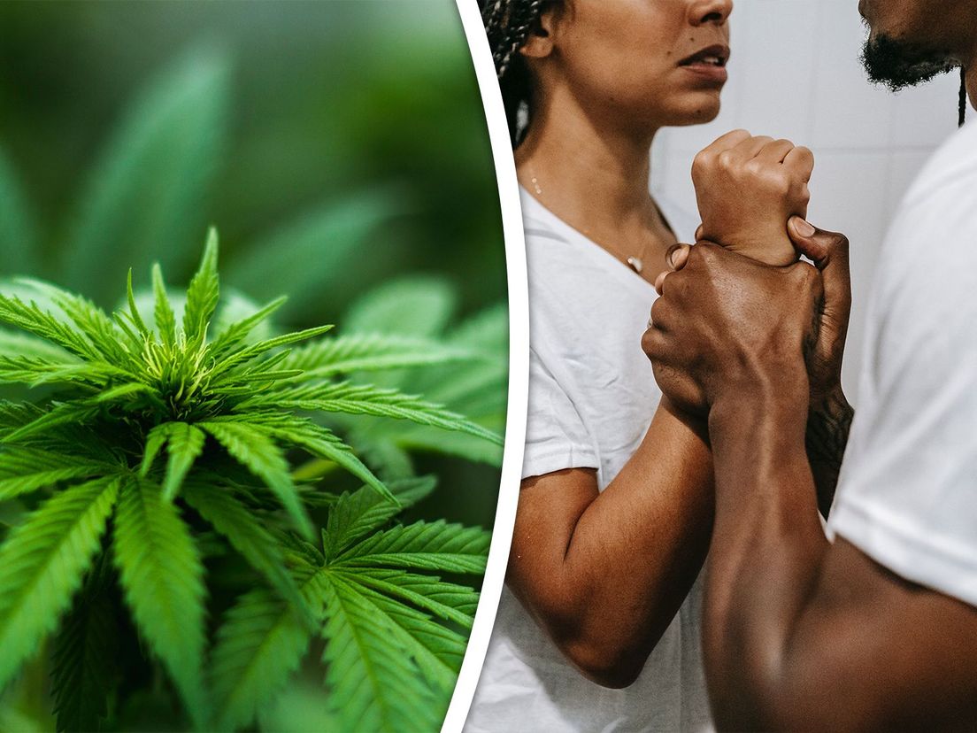 Woedend sleurde vader Reza zijn dochter uit het huis van haar vriendje toen hij bij hem een profielfoto van een cannabisplant zag.