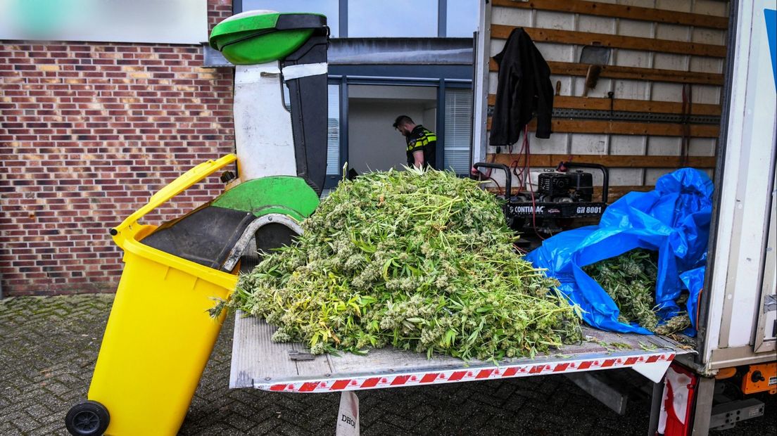 De hennepkwekerij wordt ontmanteld