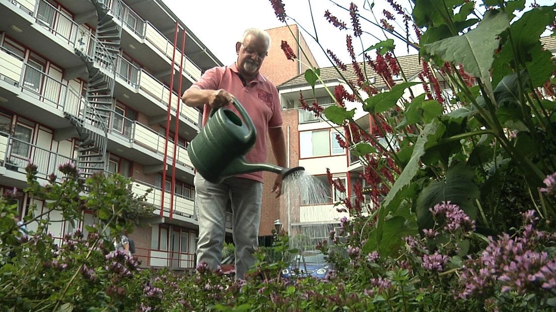De 78-jarige Rein van Voorst sproeit iedere dag de planten met regenwater.