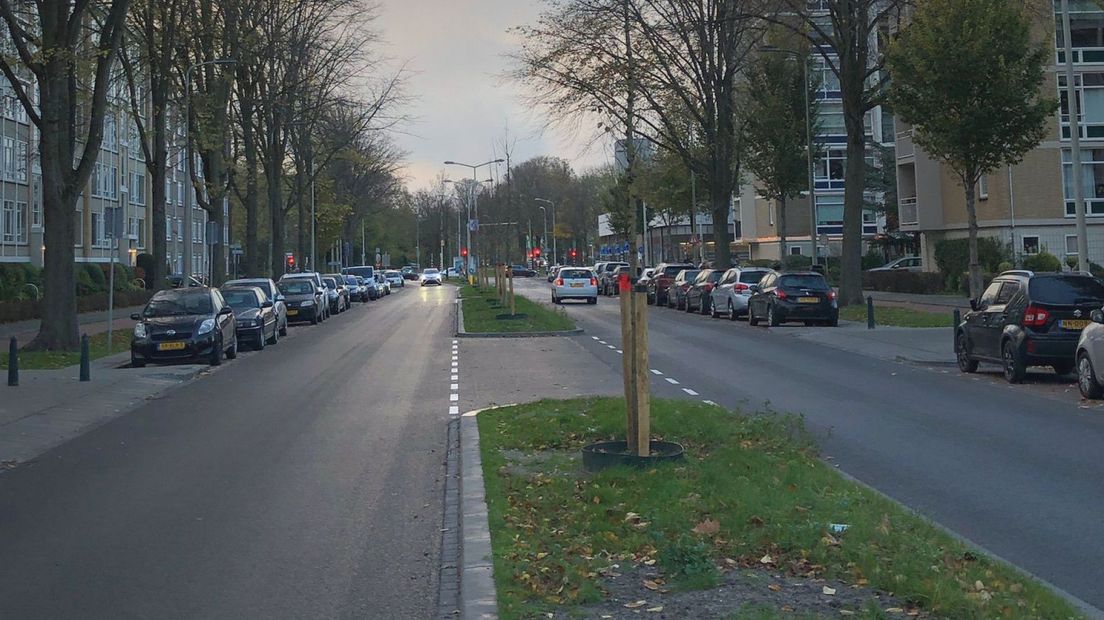 Make-over Groen van Prinstererlaan helemaal af met extra bomen en groen