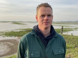 Mûzepleach by melkfeehâlder op De Lemmer: lân wer ûnder wetter set