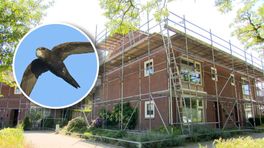 Deze huizen staan helemaal voor niks in de steigers
