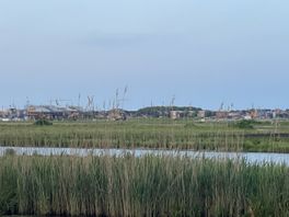 Natuurmonumenten woedend, provincie wil ganzengebied bij Assen toch niet compenseren