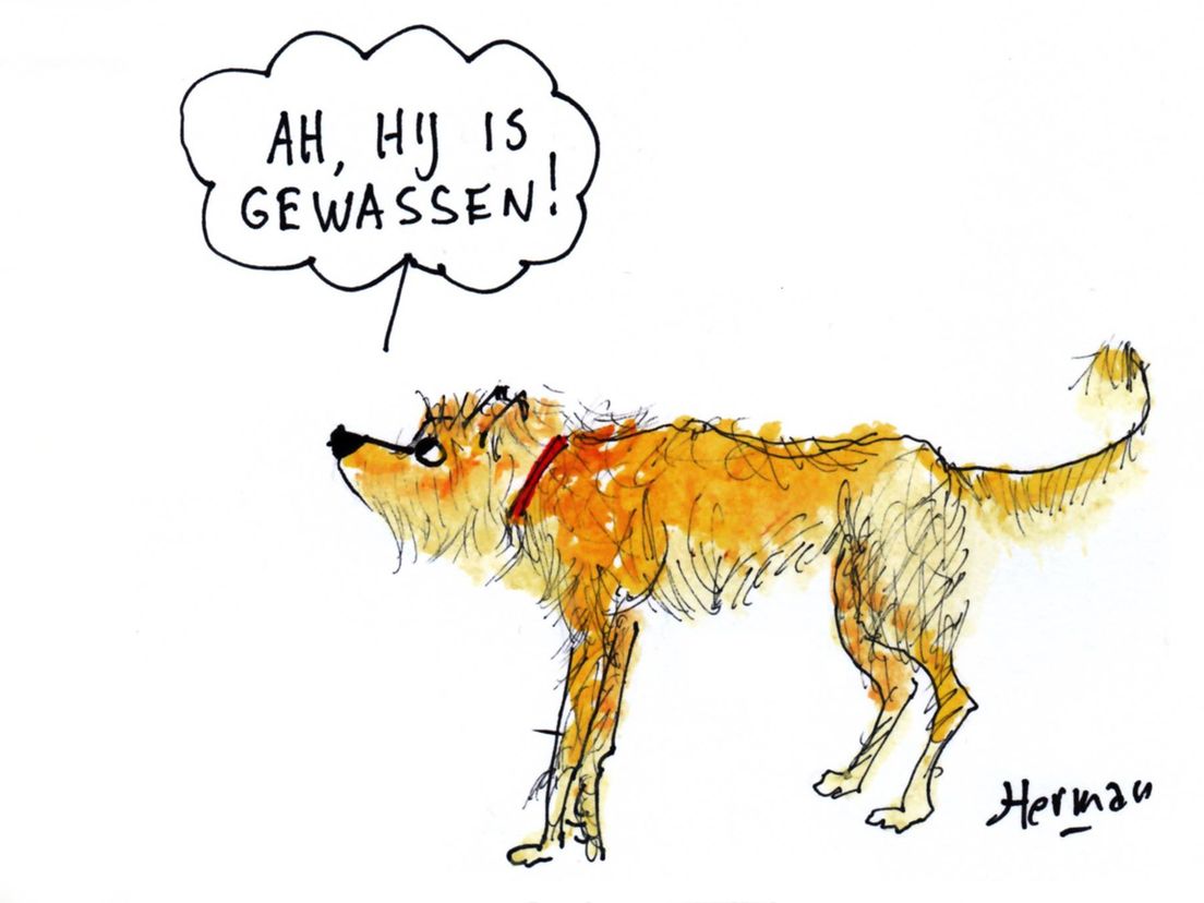 Tekening Herman Schouwenburg