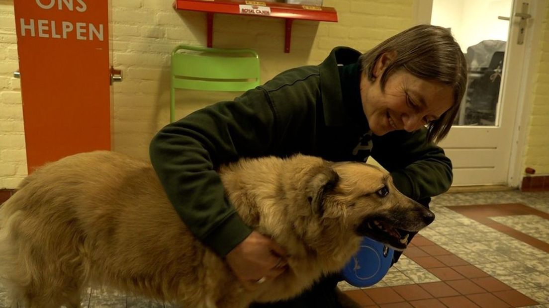 Karin Mooijekind heeft veel liefde voor haar dieren.
