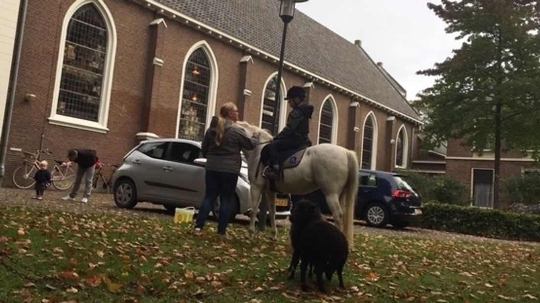 Zelfs schapen en een pony kregen de zegen