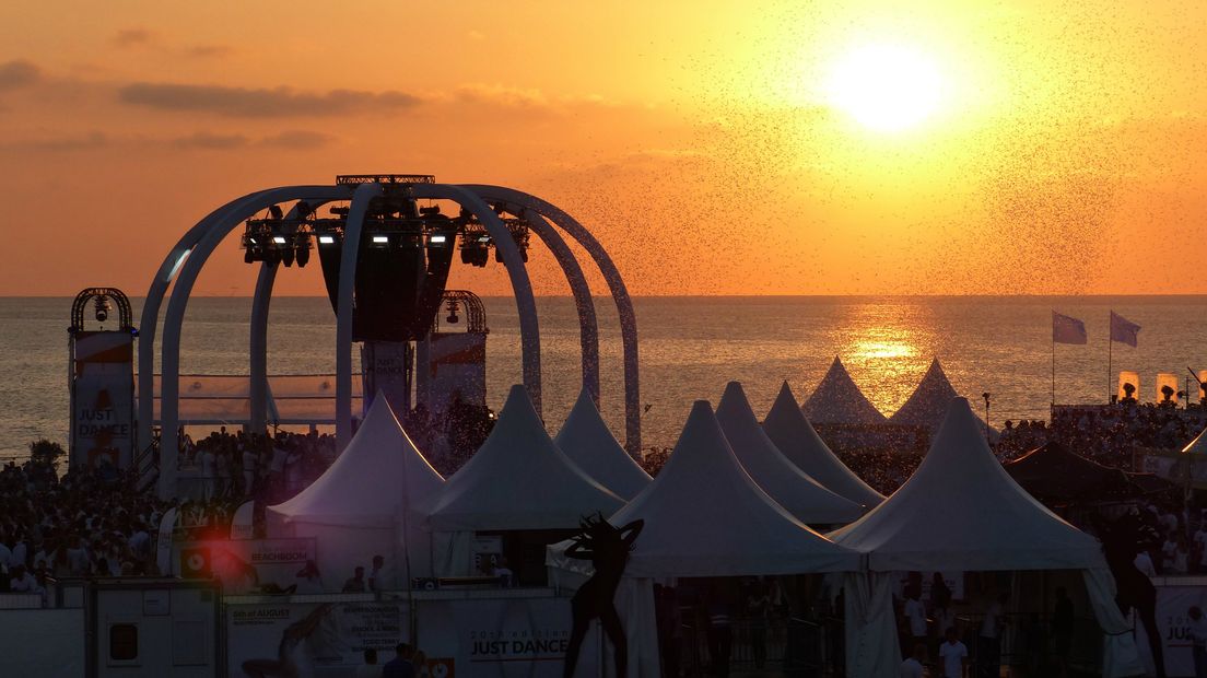Van Beachboom tot de visserijfeesten: deze festivals mag je niet missen