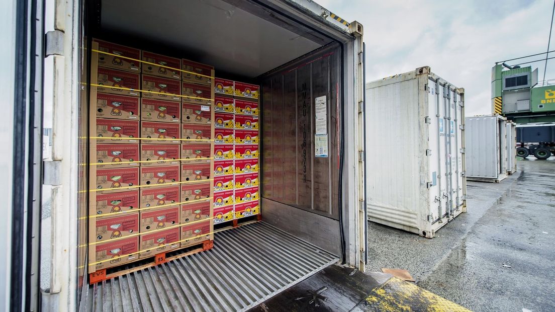 Bananendozen op transport in containers