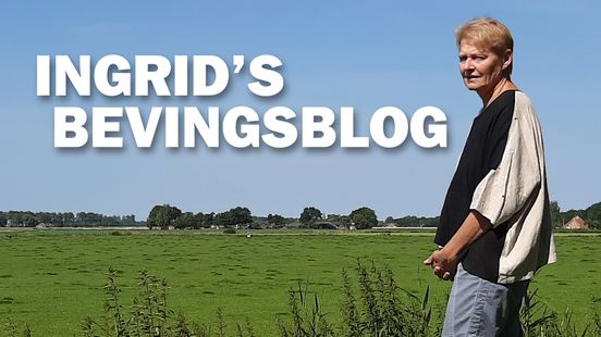 Ingrid's bevingsblog: De schaamteloze vernietiging van Groningen
