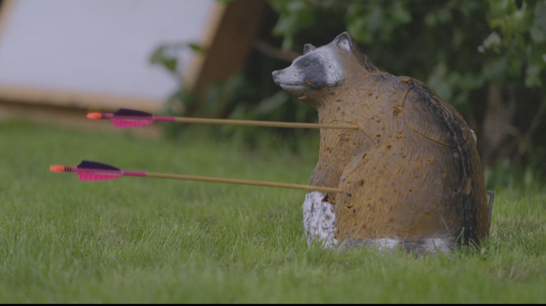 Bij Schutterij Ravenstein wordt niet alleen op borden geschoten, maar ook op allerlei soorten nagemaakte dieren