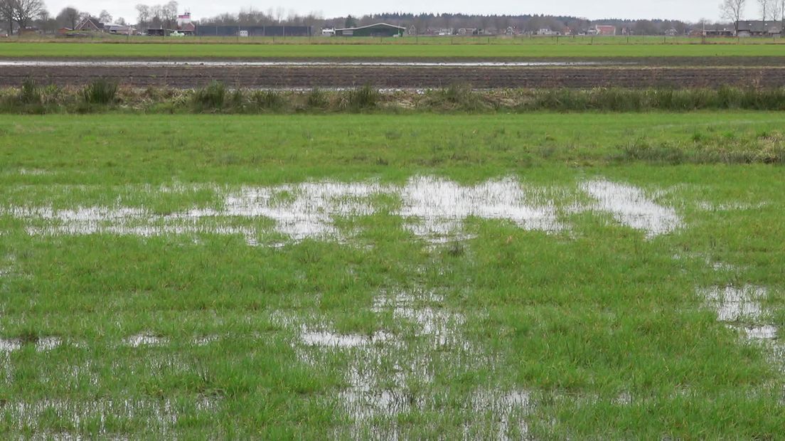 Bij Oost | Vandaag
