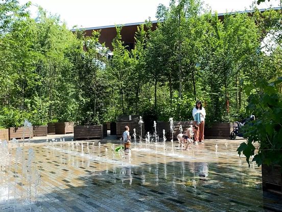 Merk Fryslân wol mear ynsette op kultuer- en natuertoerist