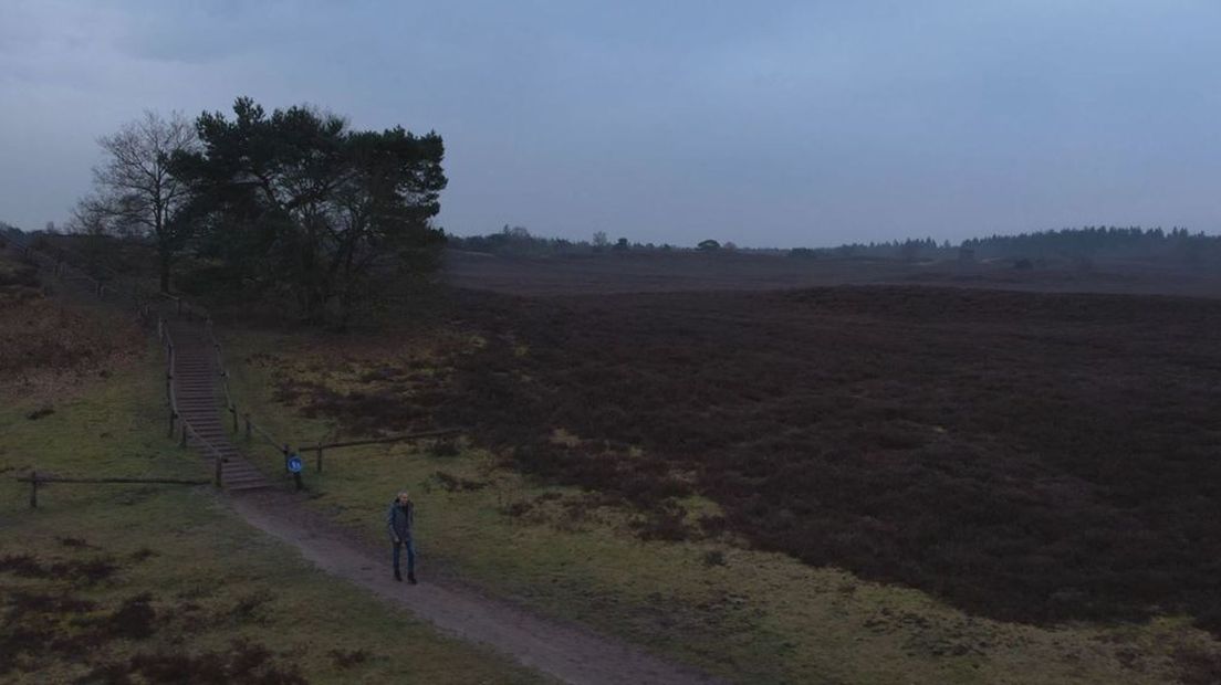 Heerde
