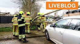 Boom waait op auto • vrouw en kind terecht