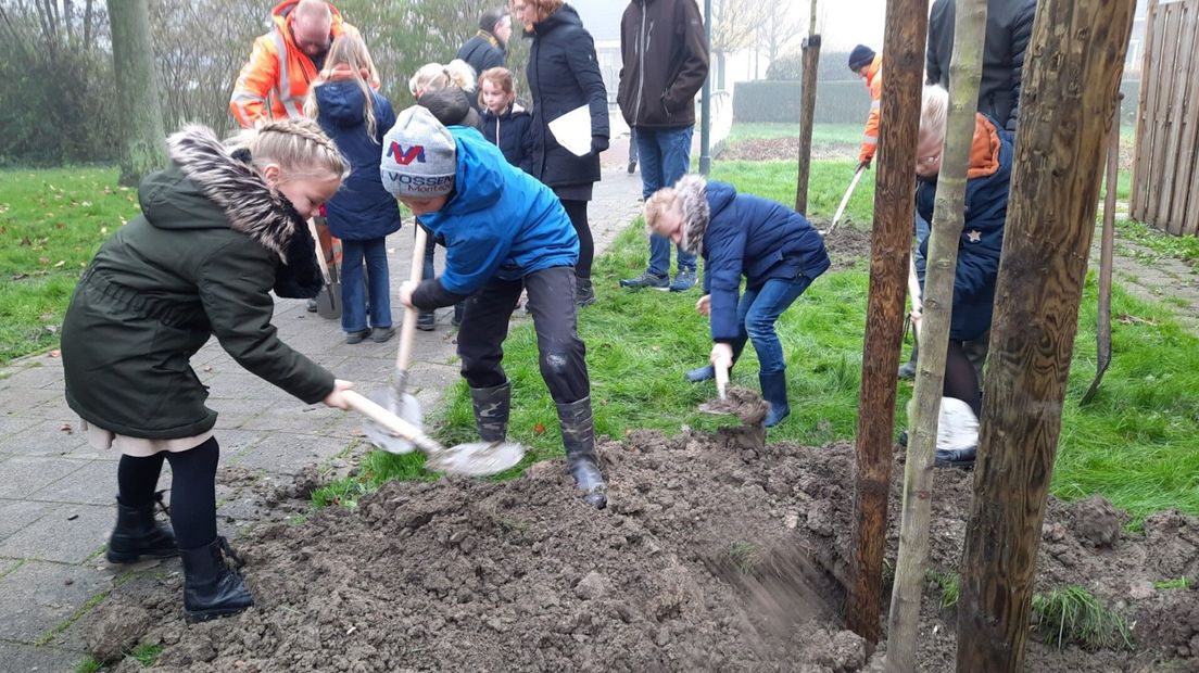 Boomfeestdag Stavenisse