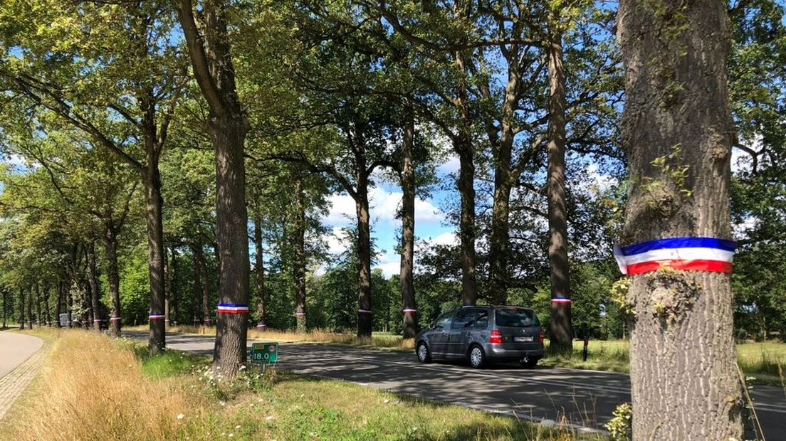 Omgekeerde linten aan bomen op de Misterweg in Winterswijk.
