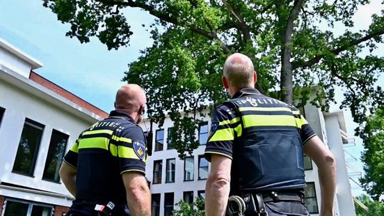 Boom in je tuin? Met onderhoud en 'nuchter boerenverstand' voorkom je ellende