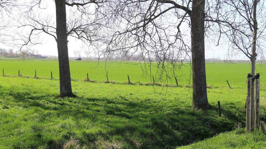 Nieuwehovendijk Nieuwvliet