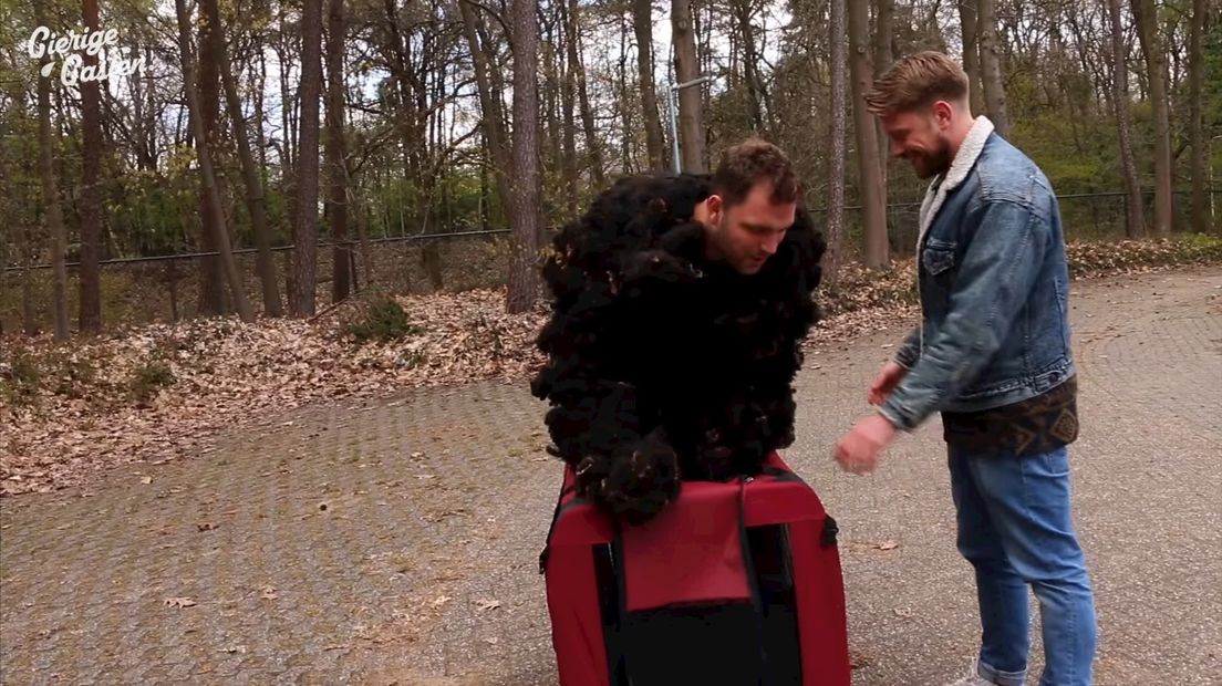 YouTubers proberen Avonturenpark Hellendoorn binnen te komen als 'baasje' en hond