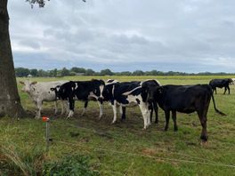Taboe(r) campagne van start; aandacht voor mentale druk boeren