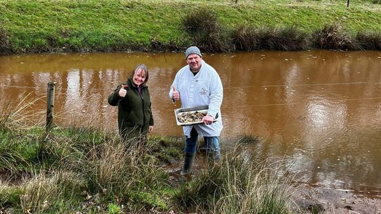 1 april! Draaiorgel op zonne-energie, eetbare tassen en oesters uit de Ruiten Aa