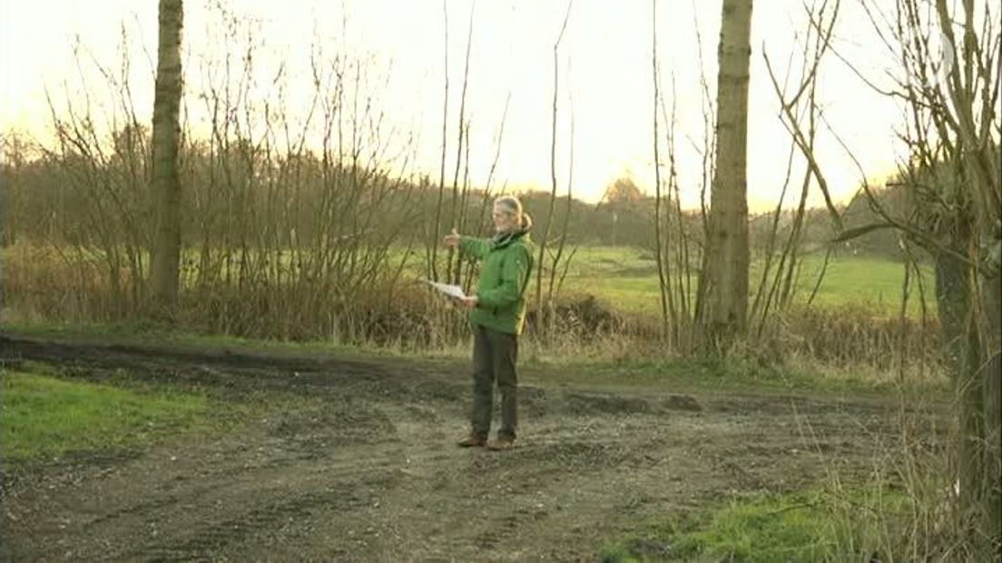GLD Nieuws