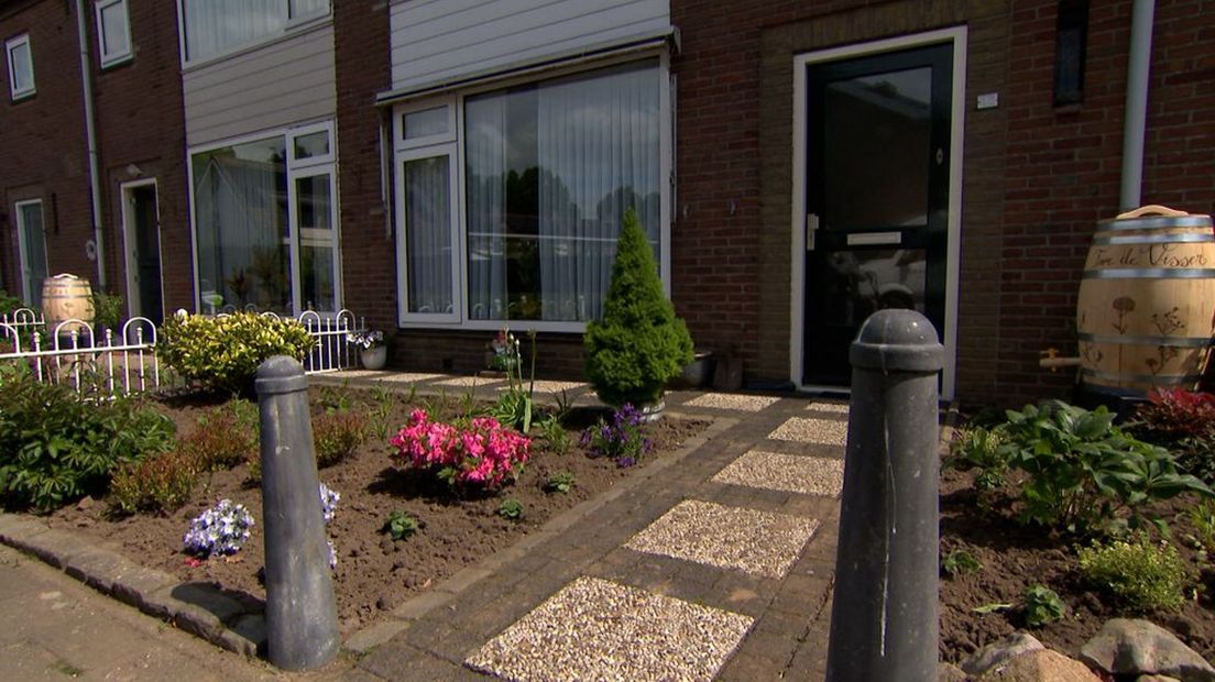 Vol met planten, onder andere anti katten planten