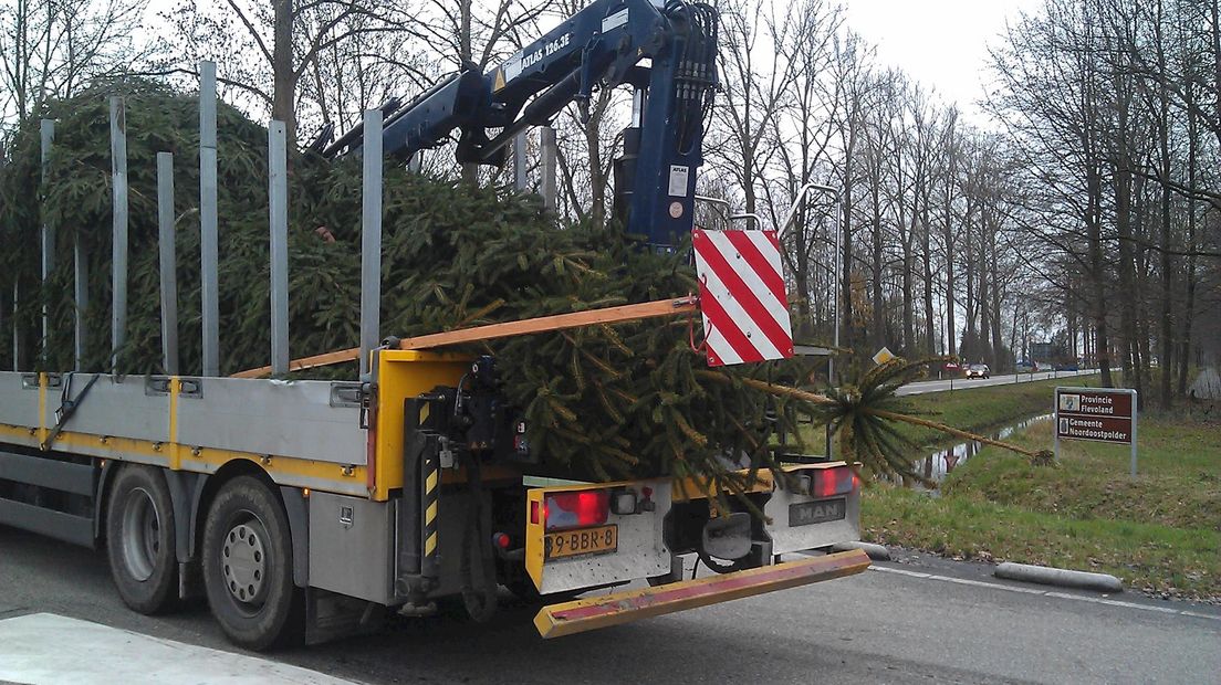 De kerstboom die vorig jaar naar Tweede Kamer ging