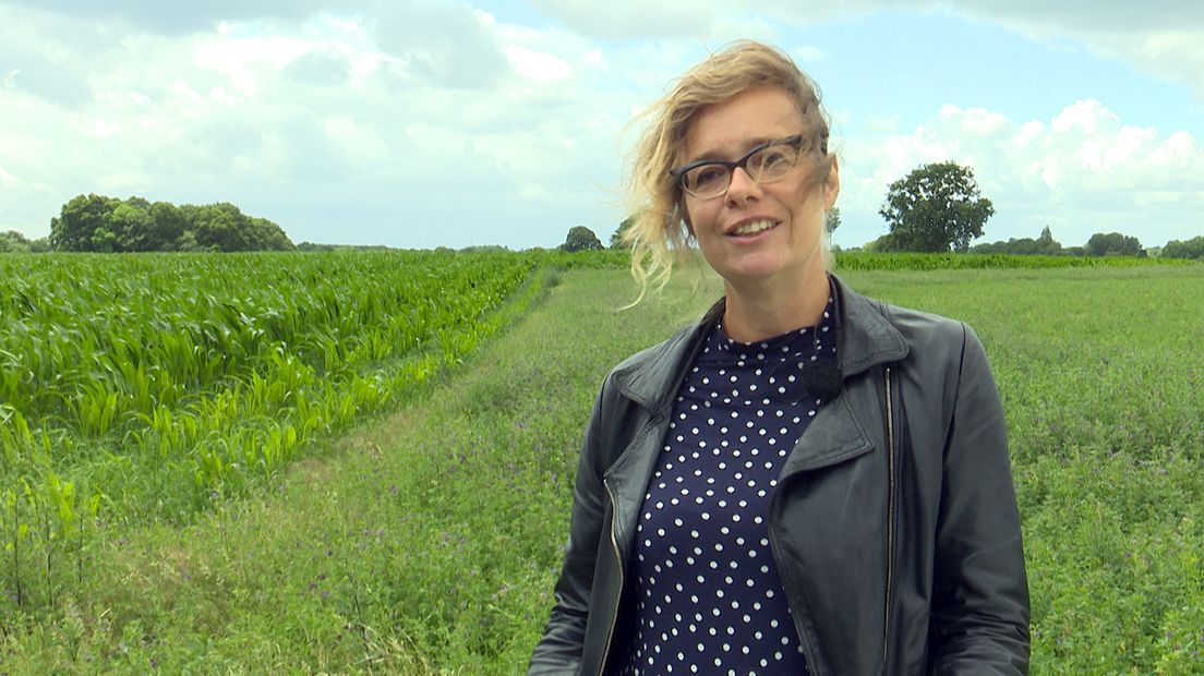Poezie kan een uitnodiging zijn om even stil te staan aan waar je normaal gesproken aan voorbij loopt.