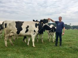 Kabinet neemt stikstofadvies Remkes over, snel landbouwakkoord