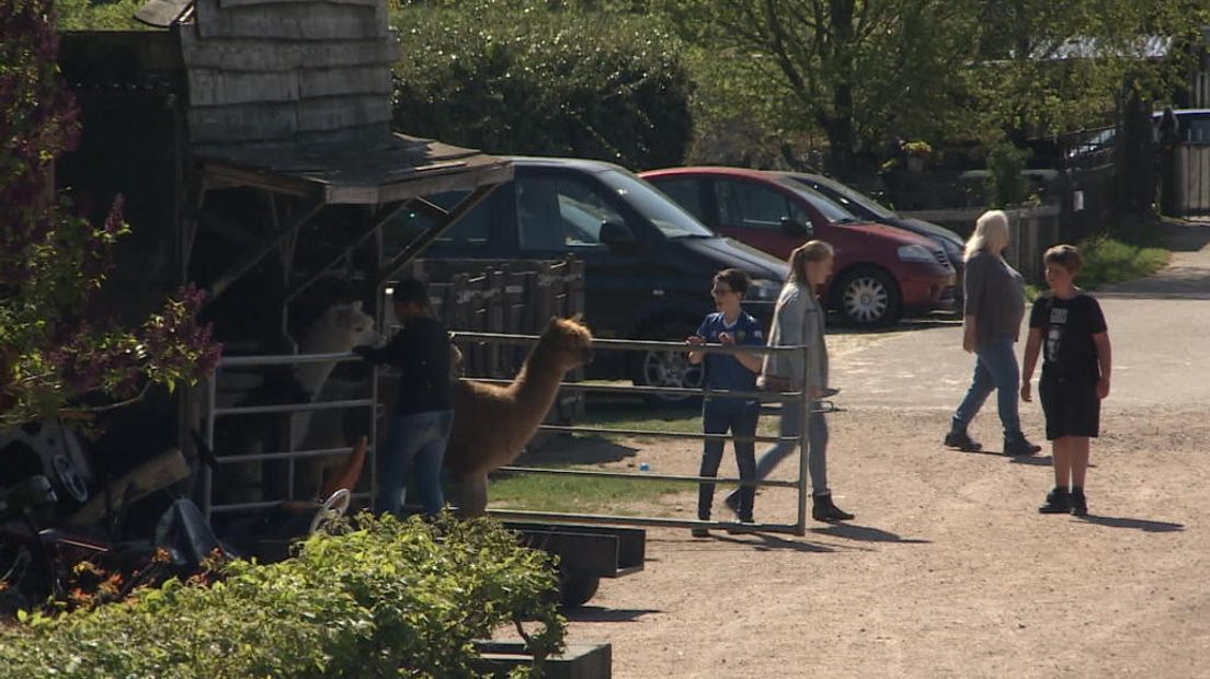 TV West Nieuws