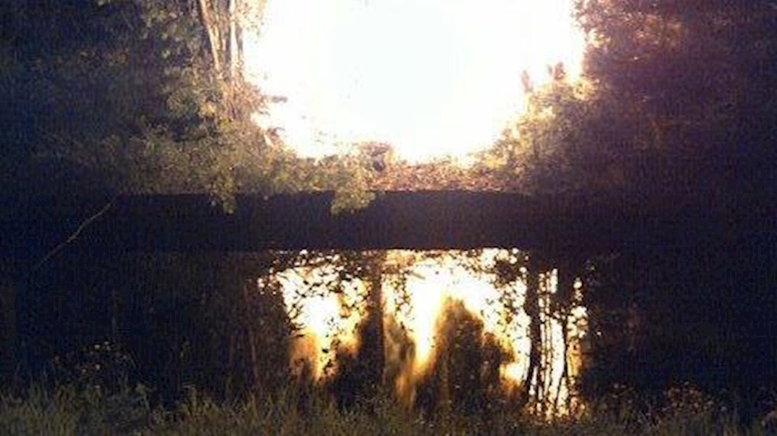 Opnieuw brand in bosschage in Kampen