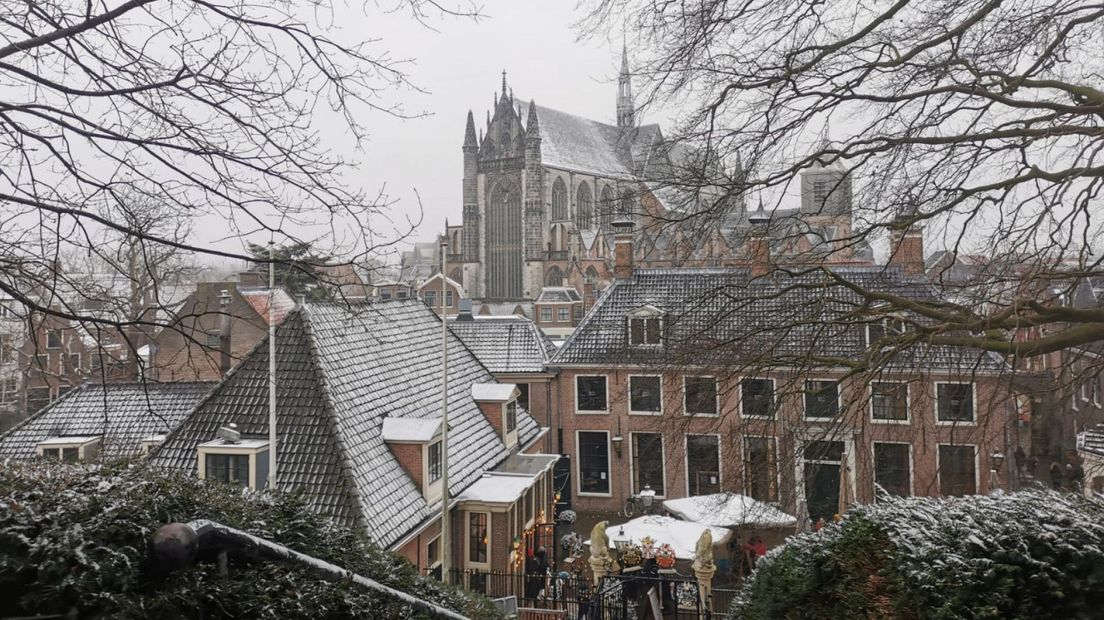 De Pieterkerk in Leiden gezien vanaf de Burcht