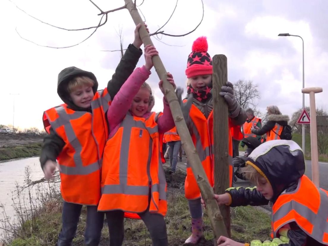 Ook kinderen hielpen mee met het planten
