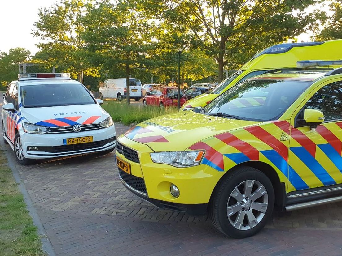 Ruzie Hof van Saksen