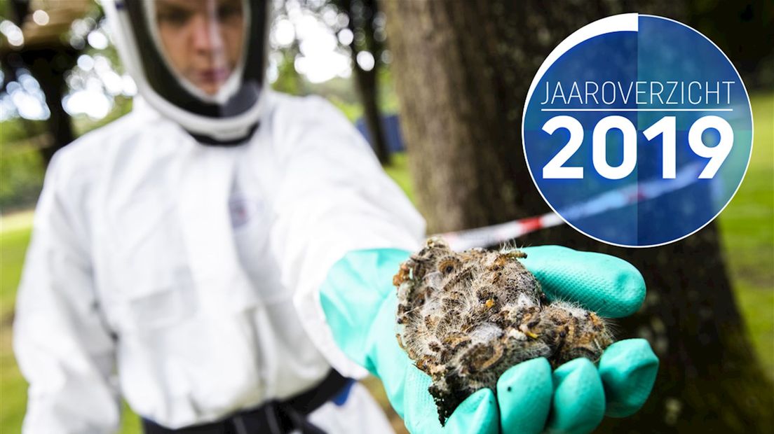 Jeuk, een hitteplan, jeuk, de 112-storing en nog meer jeuk: dit was juni 2019