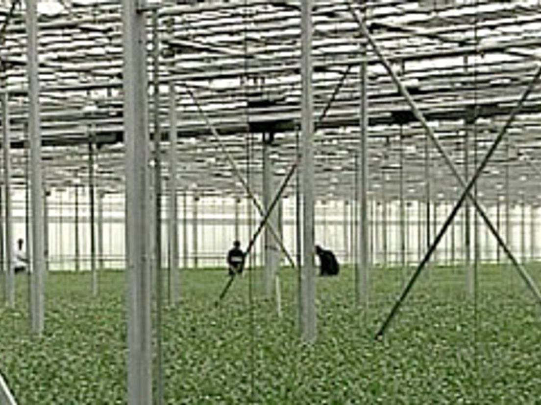 13-02-biosgasinstallatie.jpg