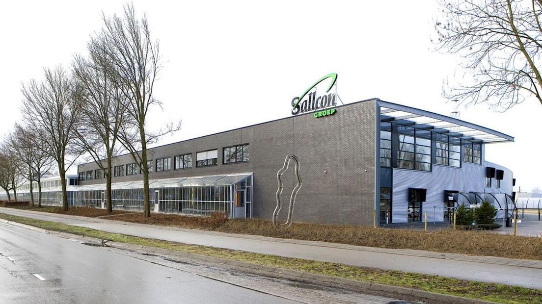 Sallcon in Deventer