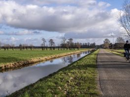 Rekenkamer Oost-Nederland kritisch op fietsbeleid provincie: doelstelling onduidelijk
