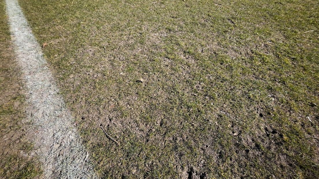 De grasmat ligt er op veel sportvelden nog niet bij als een biljartlaken